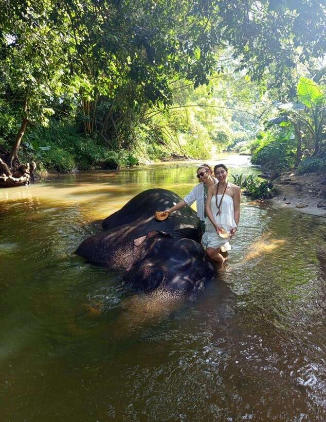 From Colombo or Negombo: Pinnawala, Kandy & Tea Factory Tour - Who should book this experience?