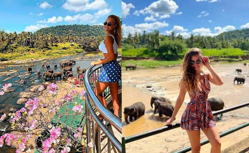 From Colombo: Pinnawala & Tea factory with Kandy Hotel Drop - A Colombo to Kandy road day with real purpose
