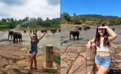 Pinnawala & Tea factory with Kandy Hotel Drop
