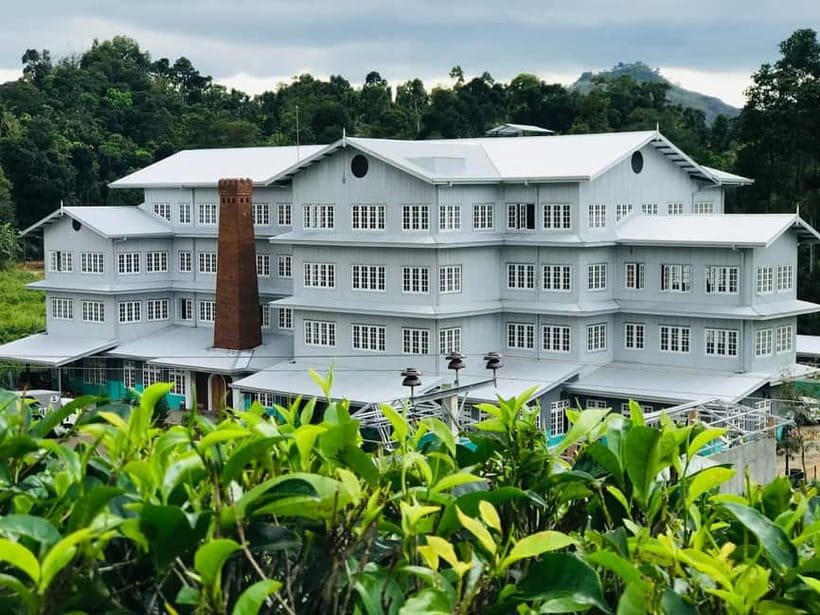 From Colombo: Pinnawala & Tea factory with Kandy Hotel Drop - What to bring for a long day outside