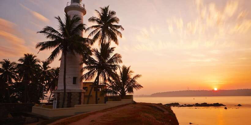 From Colombo: Virgin White Tea and Galle City Tour - Why Handunugoda’s White Tea Is Worth the Drive