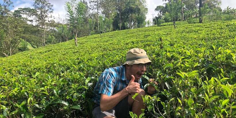 From Colombo: Virgin White Tea and Galle City Tour - A Short Coastal Pause Near Ahangama