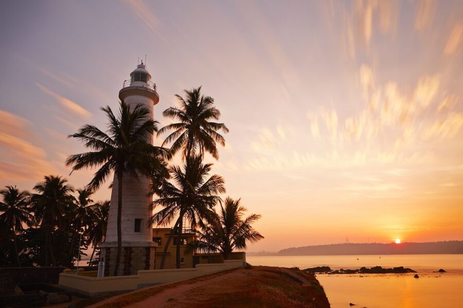 From Colombo: Virgin White Tea and Galle City Tour - Should You Book This Tour?