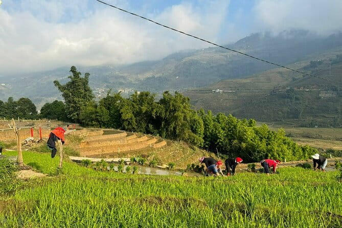 From Hà Nội ; Mu Cang Chai 3 Days 2 Nights By Car and Trekking - Day two: twelve kilometers through La Pan Tan