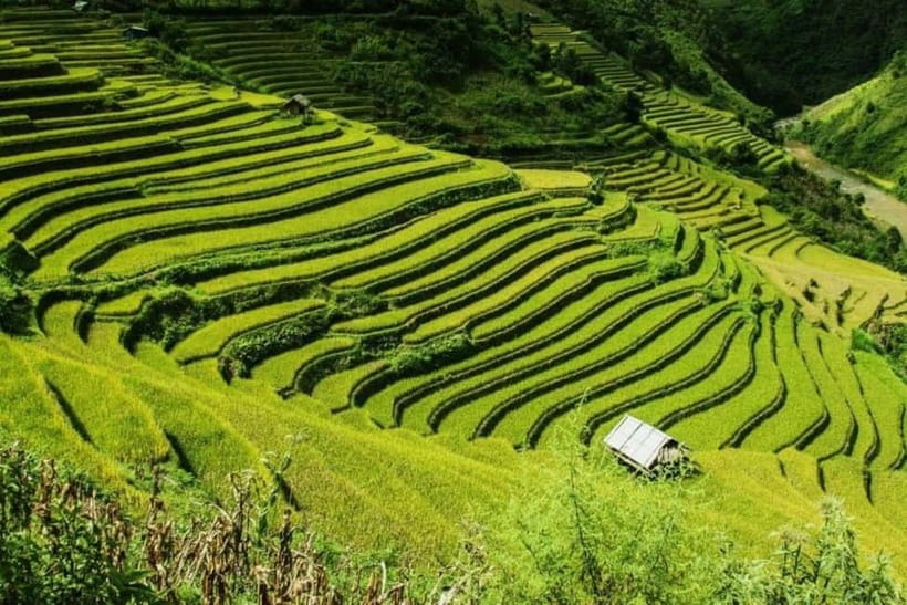 From Hanoi: 2-Days Sapa Trek Lao Chai/Cat Cat, Fansipan Peak - Why this two-day Sapa plan works