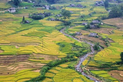 2-Days Sapa Trek Lao Chai/Cat Cat, Fansipan Peak