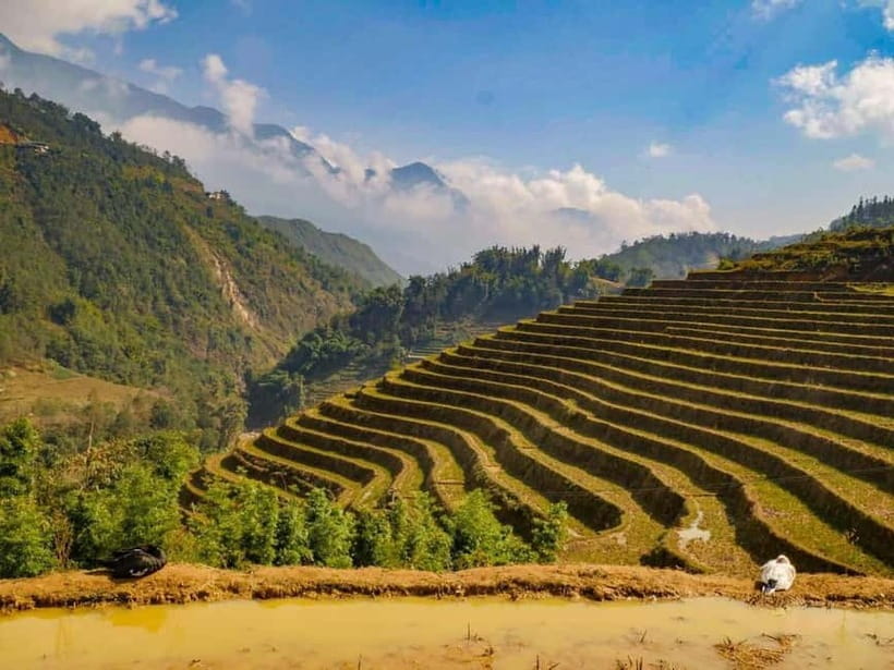 From Hanoi: 2-Days Sapa Trek Lao Chai/Cat Cat, Fansipan Peak - Who should book this Sapa trip
