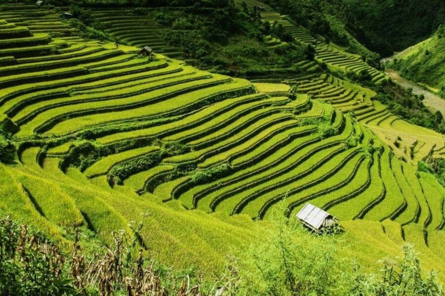 From Hanoi: 2-Days Sapa Trekking Tour Lao Chai and Cat Cat - Why this Sapa trip works in only two days