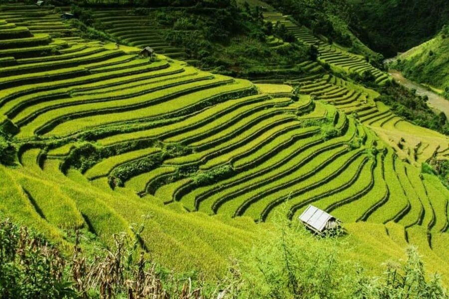 From Hanoi: 2-Days Sapa Trekking Tour Lao Chai and Cat Cat - An evening in Sapa with a choice of bed