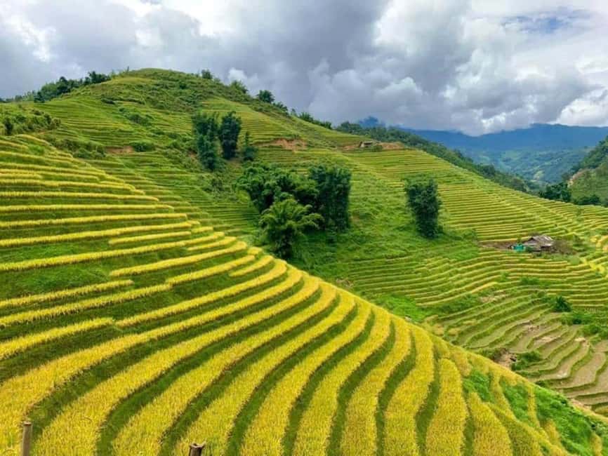 From Hanoi: 2-Days Sapa Trekking Tour Lao Chai and Cat Cat - Lao Chai to Ta Van through the Muong Hoa Valley