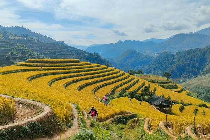 From Hanoi: 2D1N Mu Cang Chai Private Trekking & Homestay - What the $230 price includes