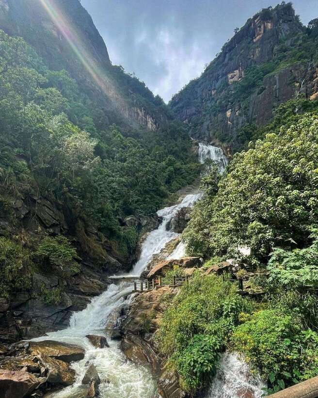 From Hikkaduwa/Galle/Mirissa : Waterfall & Tea Factory Tour - The Ella train to Nine Arch Bridge