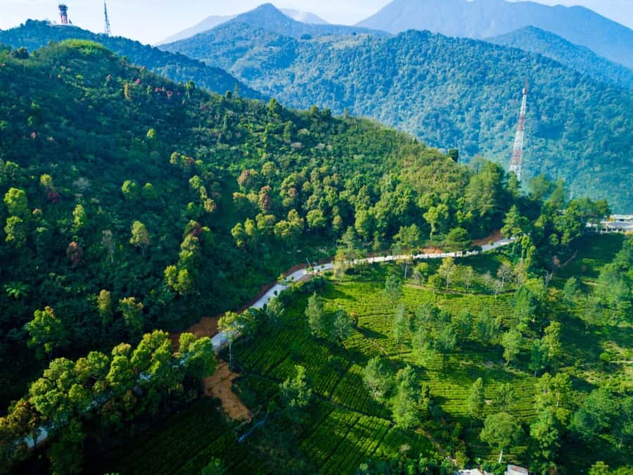 From Jakarta: Safari Park, Tea Plantation & Jaksa Waterfall - Key points at a glance