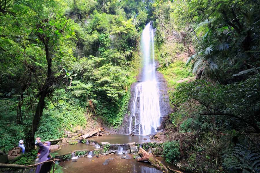 From Jakarta: Safari Park, Tea Plantation & Jaksa Waterfall - Puncak Tea Plantation and the question of expectations