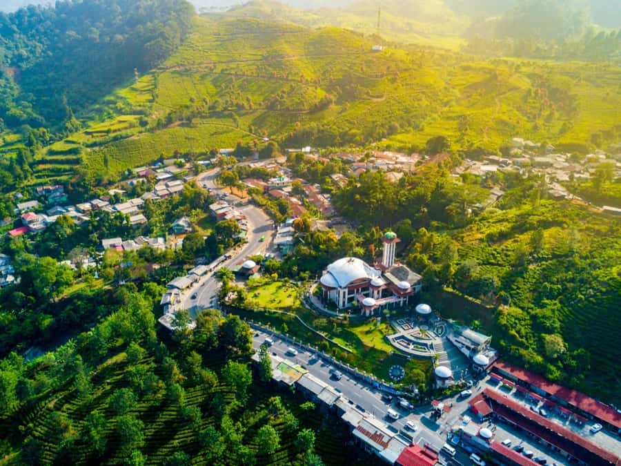 From Jakarta: Safari Park, Tea Plantation & Jaksa Waterfall - Should you book the Jakarta countryside day trip?