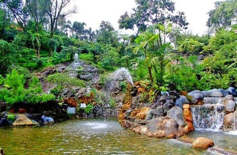 From Jakarta : Volcano, Tea & Rice Fields, Hot Spring - Lunch in Bandung and Local Flavors