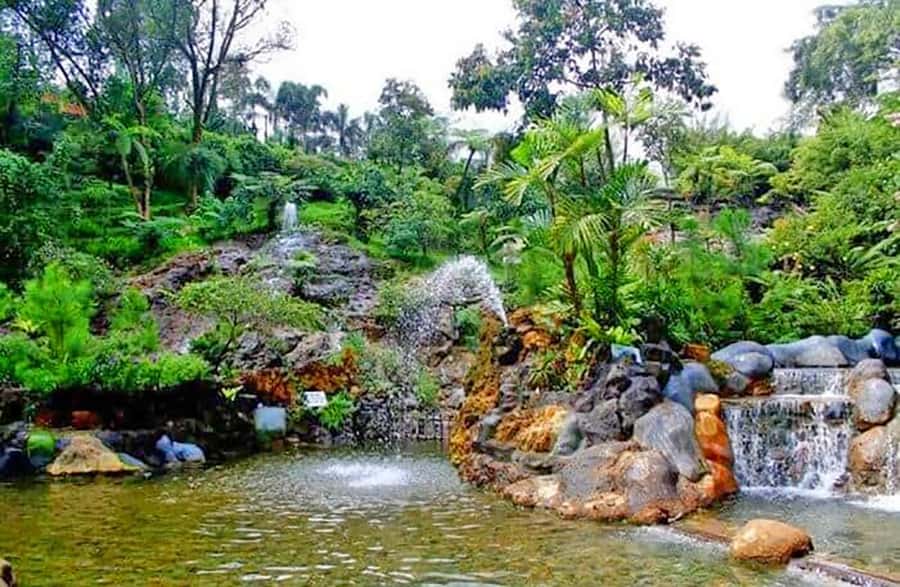 From Jakarta : Volcano, Tea & Rice Fields, Hot Spring - Tea Plants and Highland Views