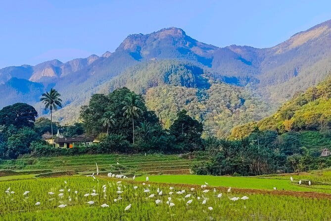 From Kandy to ELLA Private day tour - Nuwara Eliya Post Office and Gregory Lake