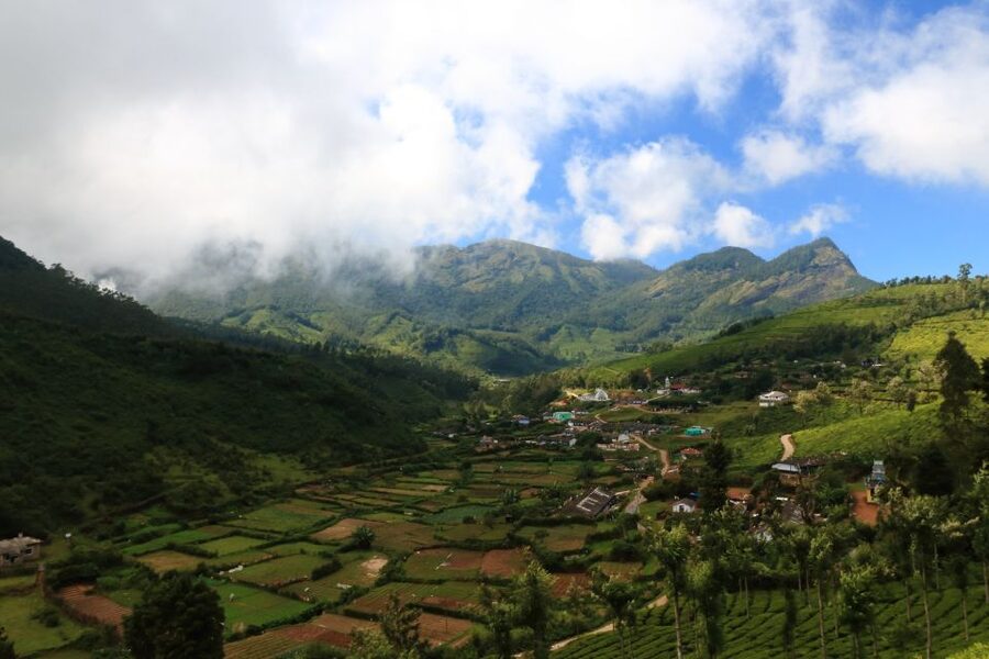From Kochi: Munnar & Tea Museum Private Guided Tour - The Tea Museum gives the day some depth