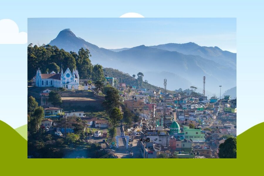 From Kochi: Munnar & Tea Museum Private Guided Tour - What $220 per person really buys you