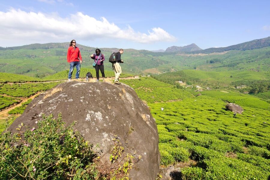 From Kochi: Munnar & Tea Museum Private Guided Tour - Cheeyappara and Valara waterfalls break up the drive