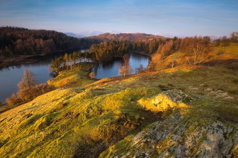 From London: Lake District Tour with Cream Tea & Cruise - Tarn Hows, Blea Tarn, and the road through the Langdales