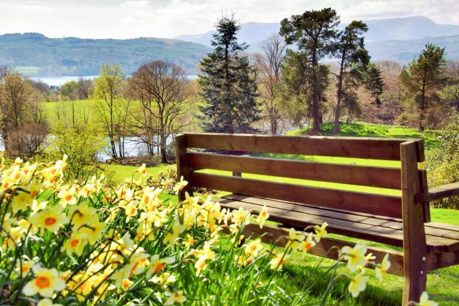 From London: Lake District Tour with Cream Tea & Cruise - The return to Oxenholme and London