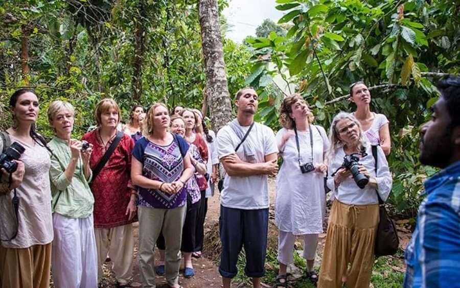 From Munnar: Tea Factory, Plantation, and National Park Tour - Why this Munnar day tour works