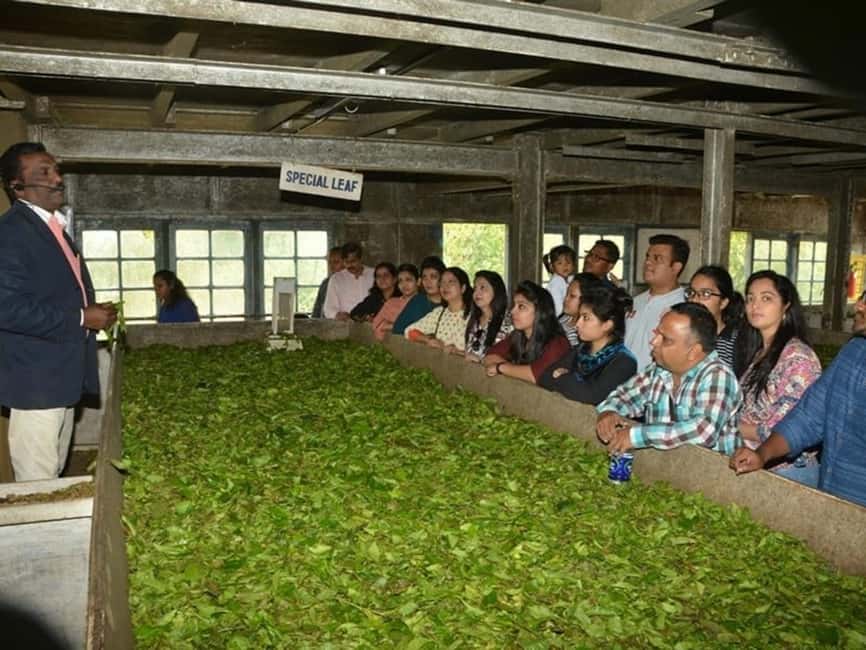 From Munnar: Tea Factory, Plantation, and National Park Tour - Inside Lockhart Tea Factory from leaf to packet
