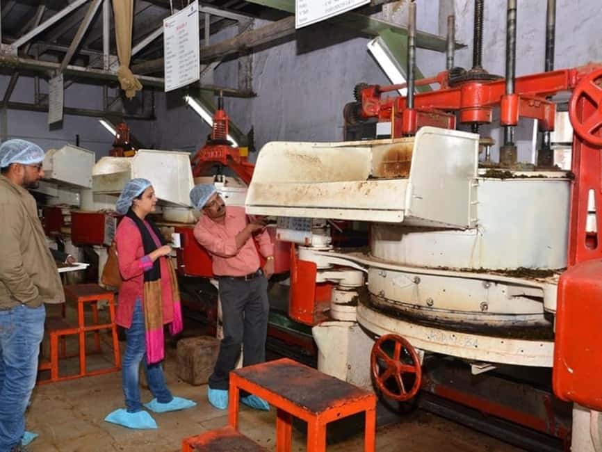 From Munnar: Tea Factory, Plantation, and National Park Tour - Eravikulam National Park and the Nilgiri Tahr