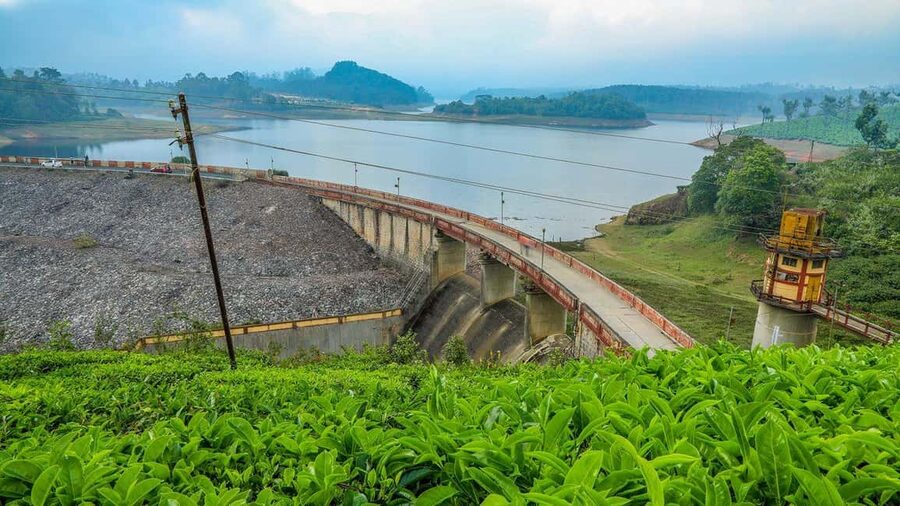 From Munnar: Tea Factory, Plantation, and National Park Tour - What is included, and what you should budget for