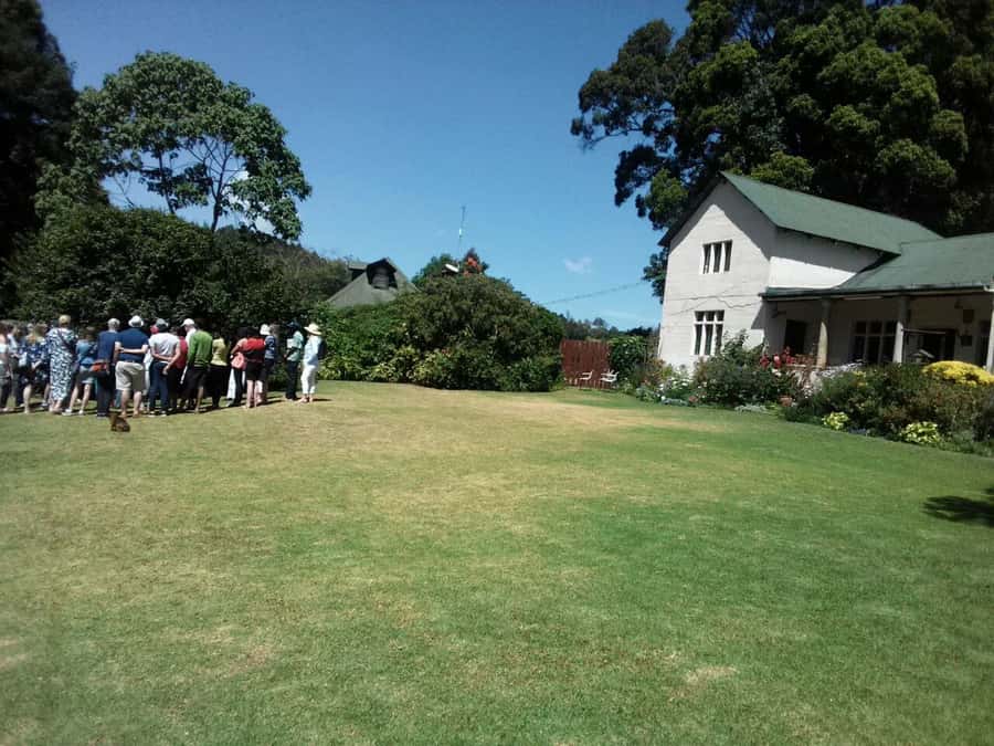 From Nairobi: Kiambethu Tea Farm Tour & Lunch - Is $160 a fair price?