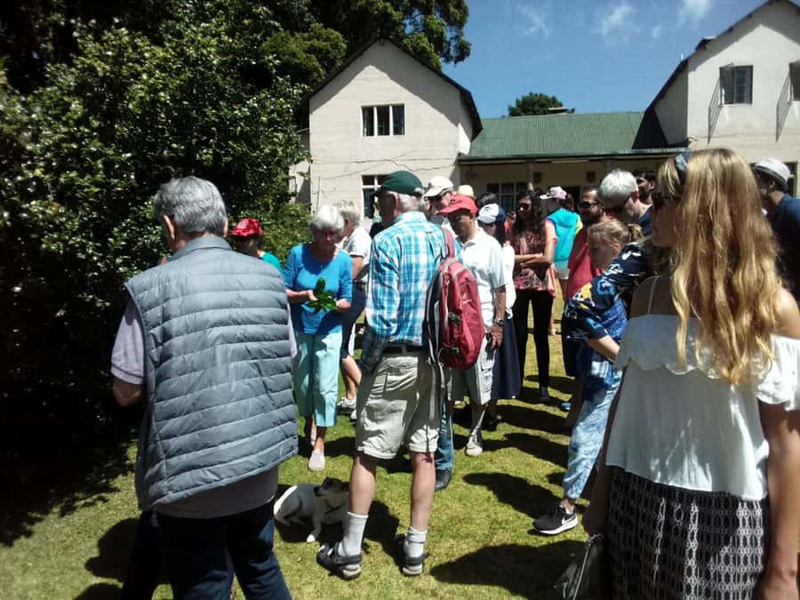 From Nairobi: Kiambethu Tea Farm Tour & Lunch - Who should book Kiambethu Tea Farm