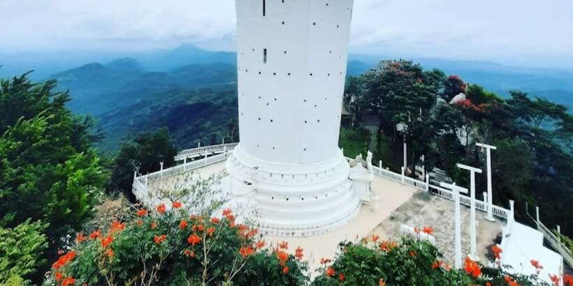 From Negombo: Ambuluwawa Tower & Tea Factory,Kandy Day Trip - Royal Botanical Garden: worth the extra time