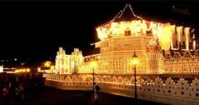 From Negombo : Pinnawala & Tea Factory & Kandy Full Day Trip - Workshops, museums, and shopping stops