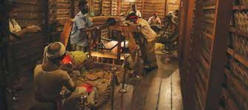 From Negombo : Pinnawala & Tea Factory & Kandy Full Day Trip - What the 15-hour schedule feels like