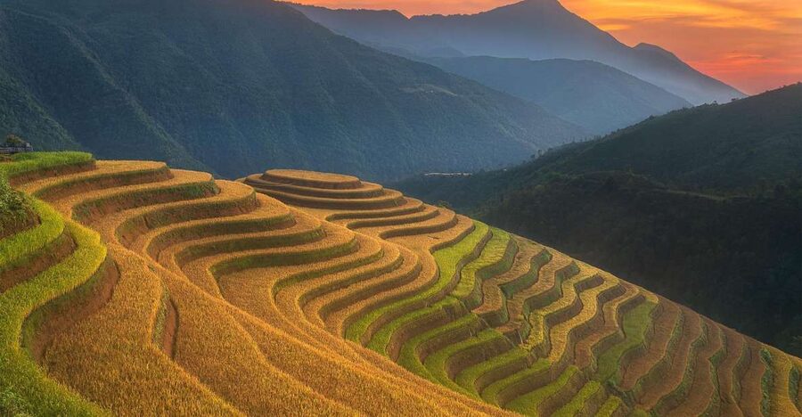 From Sapa: 1-Day Guided Trek to Lao Chai & Ta Van with Lunch - Why this Sapa trek is worth your day