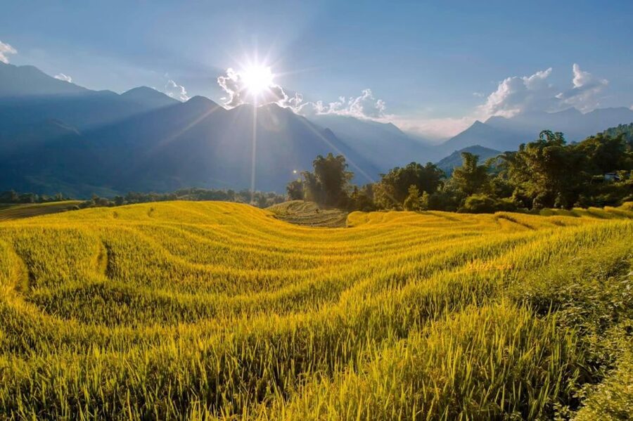 From Sapa: 1-Day Guided Trek to Lao Chai & Ta Van with Lunch - A filling lunch in Lao Chai