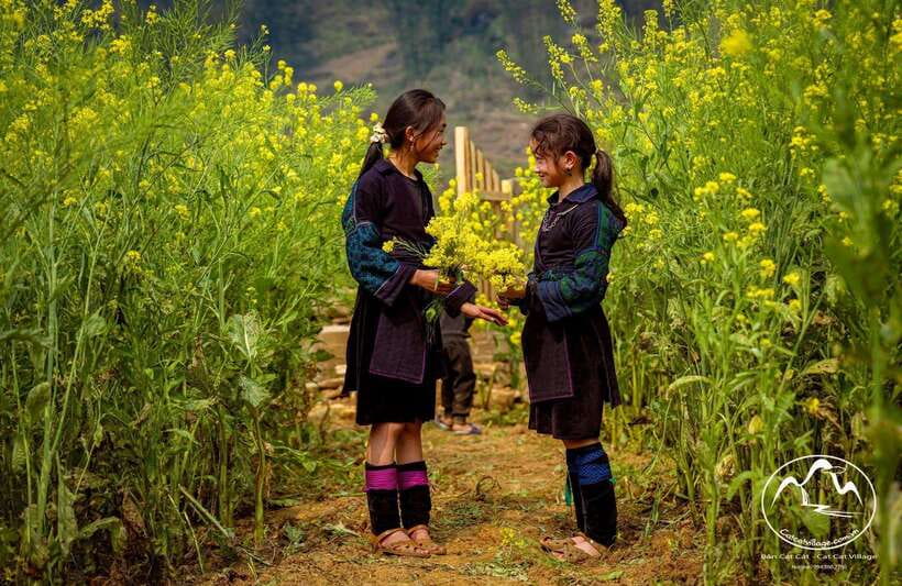 From Sapa: Cat Cat & Sin Chai Villages Private Trekking Tour - Key points at a glance