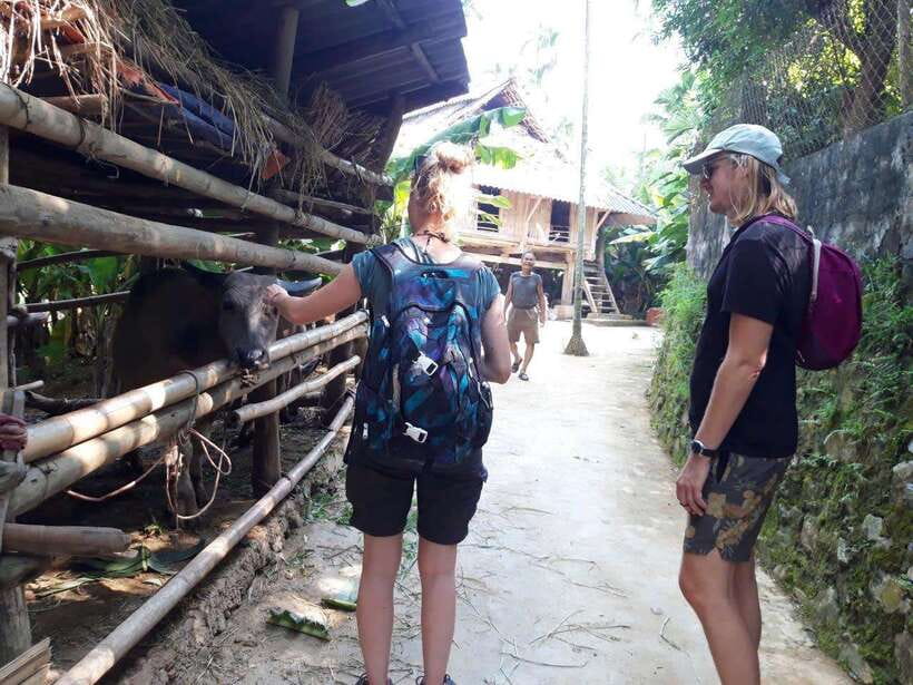 From Sapa: Cat Cat & Sin Chai Villages Private Trekking Tour - Should you book the Cat Cat and Sin Chai trek?