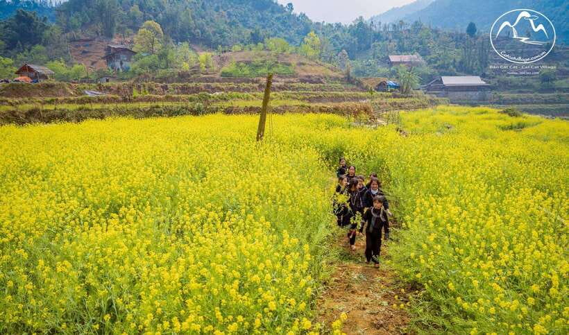 From Sapa: Cat Cat & Sin Chai Villages Private Trekking Tour - The three-kilometer walk to Sin Chai