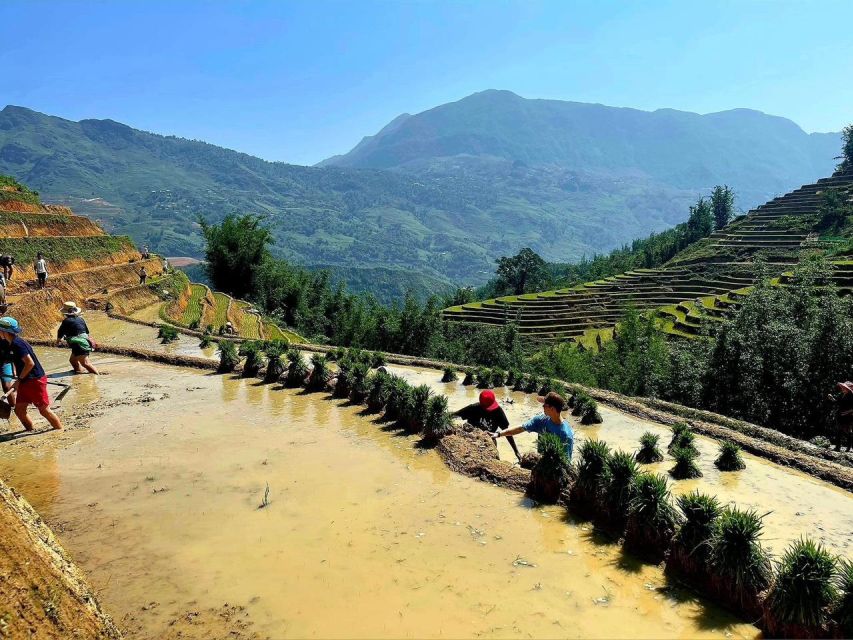 From Sapa: Full-Day Trekking Tour Lao Chai & Ta Van Villages - What to bring for the trail