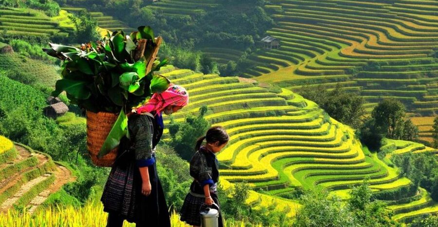 From Sapa: Full-Day Trekking Tour Lao Chai & Ta Van Villages - Walking into Muong Hoa Valley