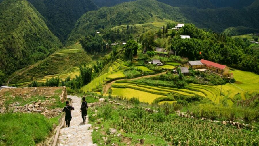 From Sapa: Full-Day Trekking Tour Lao Chai & Ta Van Villages - Lao Chai and the Black H’mong community