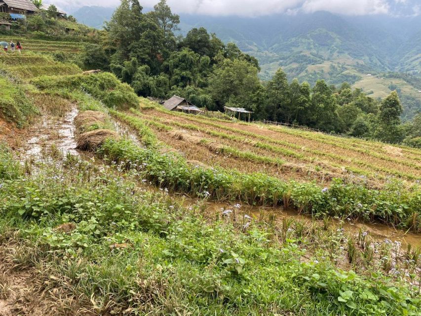 From Sapa: Full-Day Trekking Tour Lao Chai & Ta Van Villages - Lunch after the long morning walk
