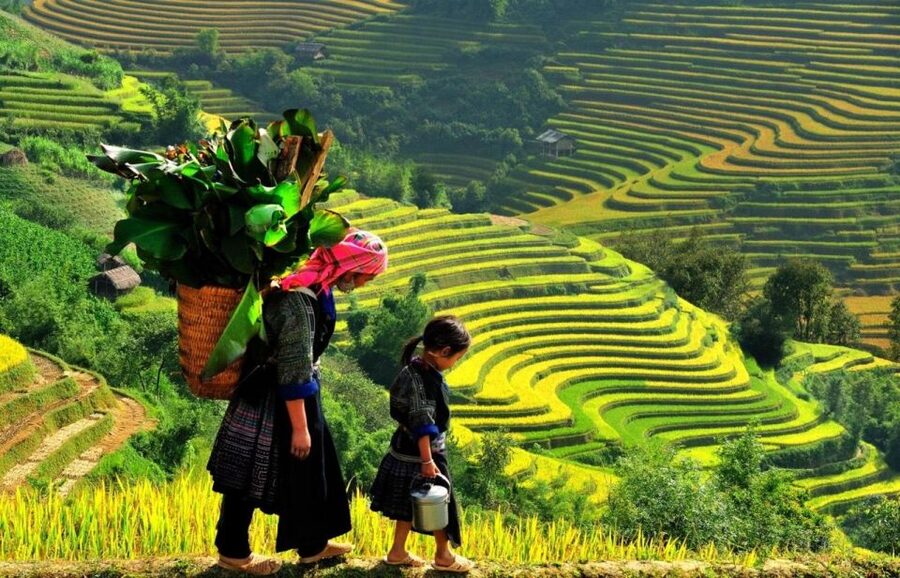 From Sapa: Full-Day Trekking Tour Lao Chai & Ta Van Villages - The $23 price and what it covers