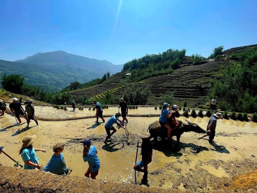 From Sapa: Full-Day Trekking Tour Lao Chai & Ta Van Villages - Who will enjoy this trek most