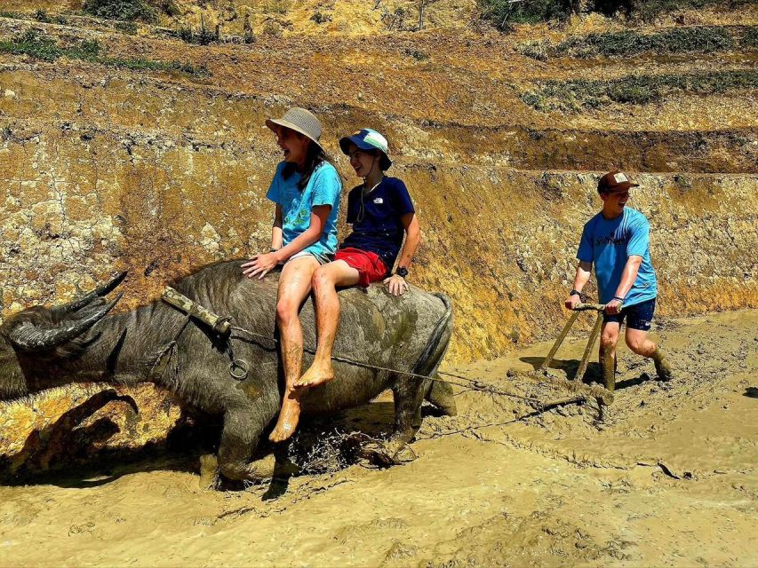 From Sapa: Full-Day Trekking Tour Lao Chai & Ta Van Villages - Starting from Sapa at 8:00 to 8:30