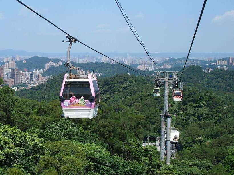 From Taipei: Pinglin Tea Culture and Maokong Guided Day Tour - Who should book this Maokong and Pinglin day trip?