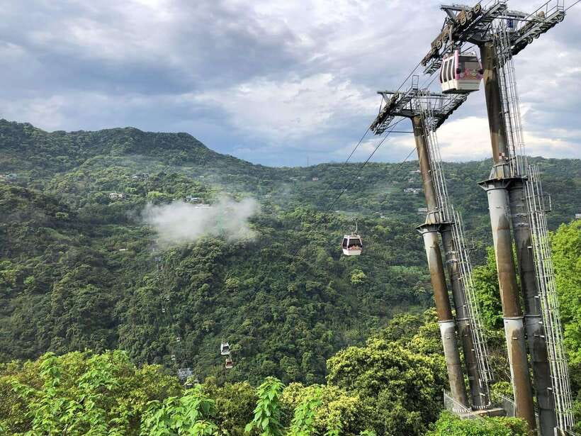 From Taipei: Pinglin Tea Culture and Maokong Guided Day Tour - Walking the Zhangshu Trail and Maokong’s tea hills